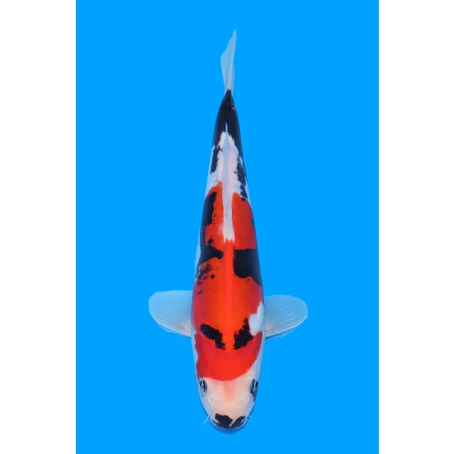 250106-037 250106-037