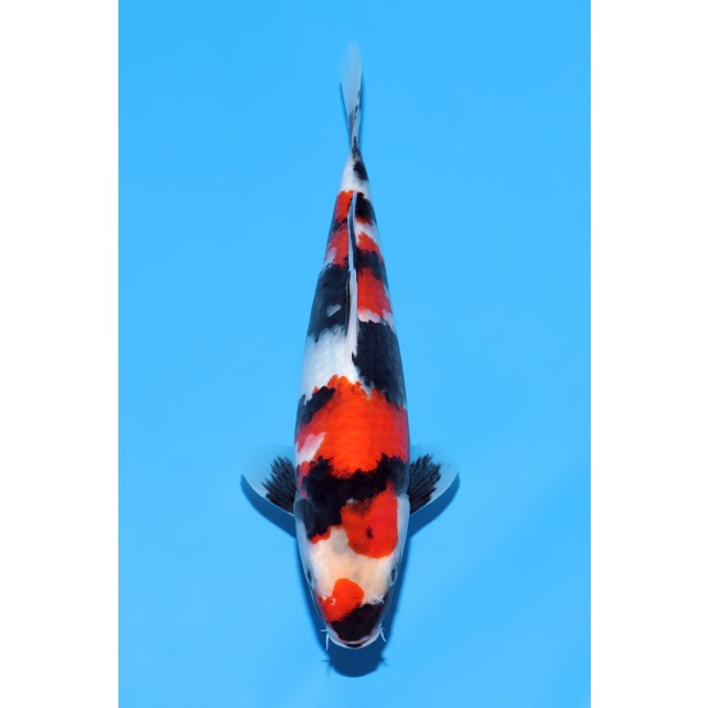 260302-025 260302-025