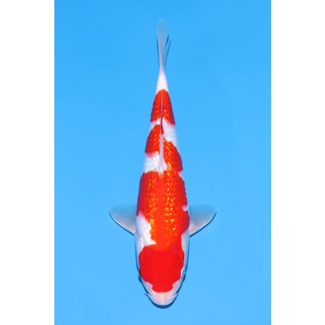 260302-031 260302-031