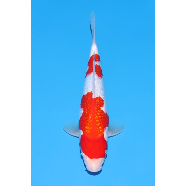 260302-036 260302-036